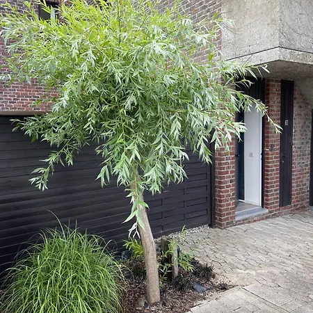 Apartamento Coester - Knusse Met Tuin In *
